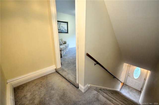 stairway featuring carpet floors