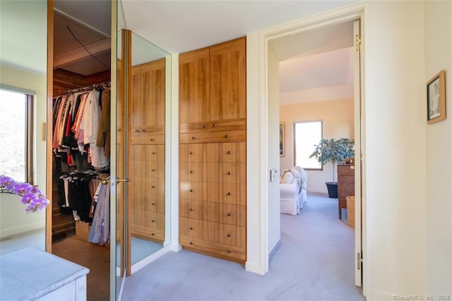 interior space with a closet, a spacious closet, and multiple windows