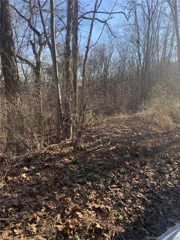 LOT1 Candlewood Lake Rd N, New Milford, CT 06776 - photo 2