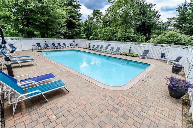 view of swimming pool featuring a patio area