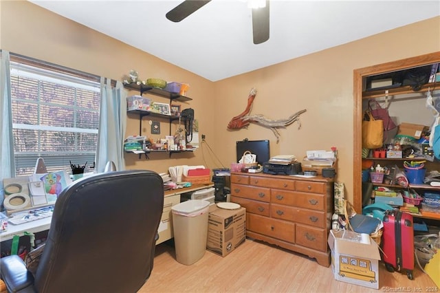 office featuring ceiling fan and light wood-type flooring