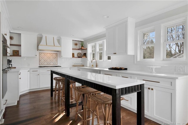 kitchen featuring tasteful backsplash, premium range hood, ornamental molding, dark hardwood / wood-style floors, and white cabinets