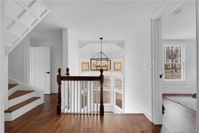 corridor with an inviting chandelier and dark hardwood / wood-style flooring