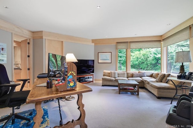 interior space with crown molding