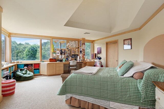 carpeted bedroom featuring a raised ceiling