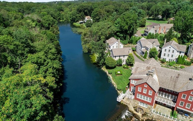 bird's eye view with a water view and a wooded view