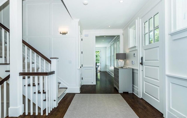 interior space with crown molding, dark wood-style flooring, and a decorative wall