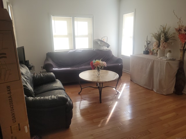 living room featuring light hardwood / wood-style floors