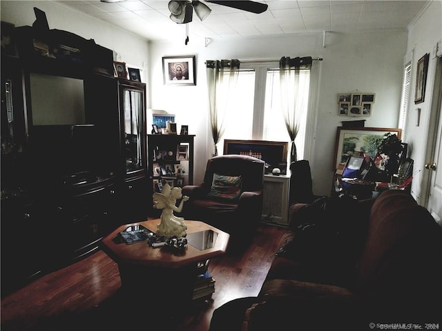 living room with ceiling fan and dark hardwood / wood-style floors