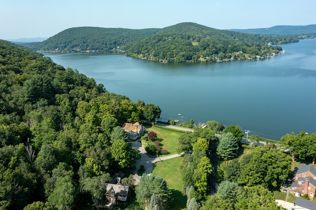 drone / aerial view with a water and mountain view