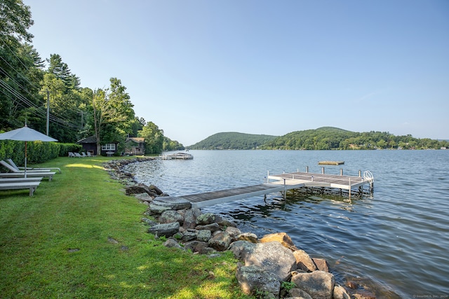 dock area with a water view and a yard