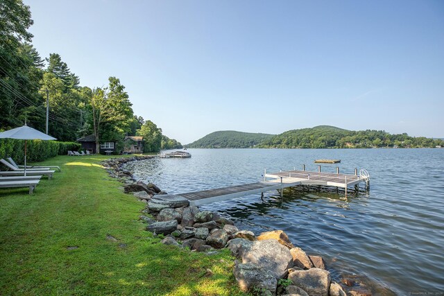 387 Lake Rd, Warren, CT 06777 - photo 4
