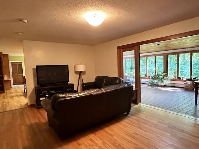 living room with a textured ceiling and light hardwood / wood-style flooring