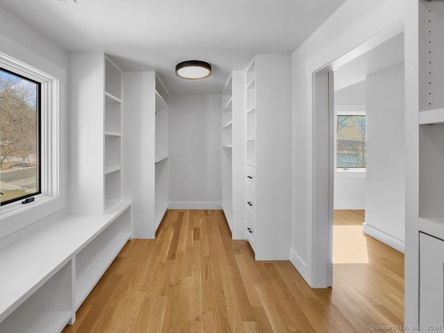 walk in closet with light wood-type flooring