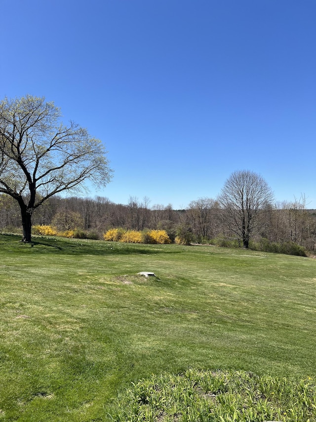 view of yard featuring a rural view