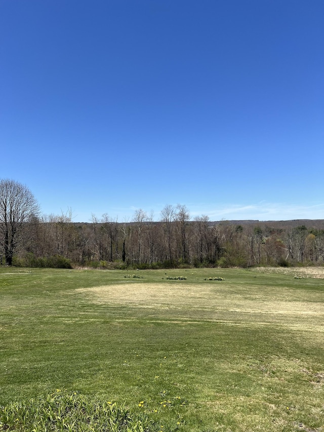 view of landscape featuring a rural view