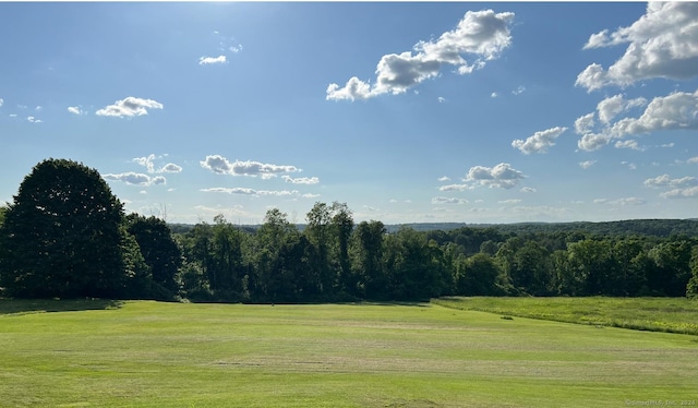 view of property's community featuring a yard