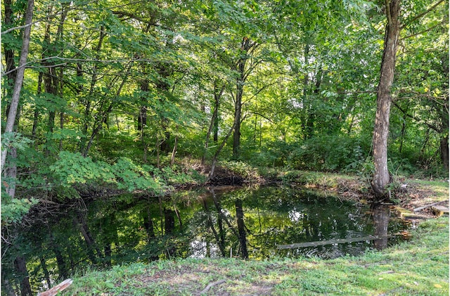 view of local wilderness featuring a water view