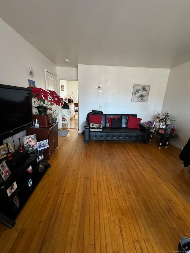 living room with light hardwood / wood-style flooring