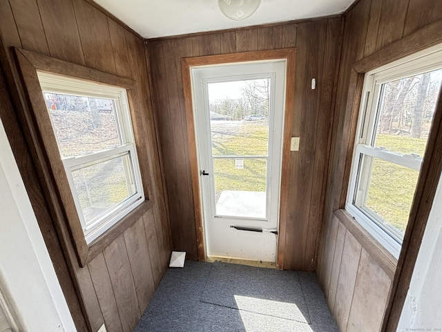 doorway featuring plenty of natural light and wood walls