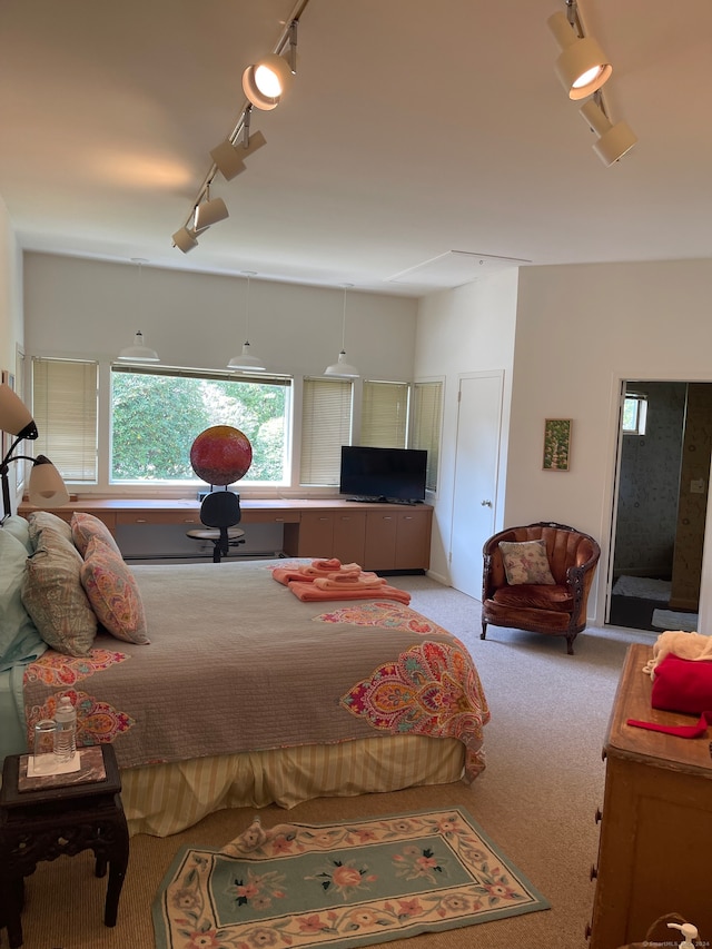 carpeted bedroom with track lighting