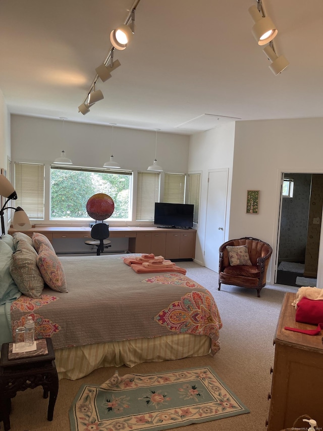 carpeted bedroom with track lighting