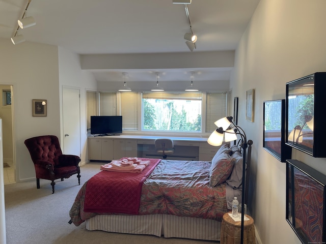 bedroom with light carpet and rail lighting