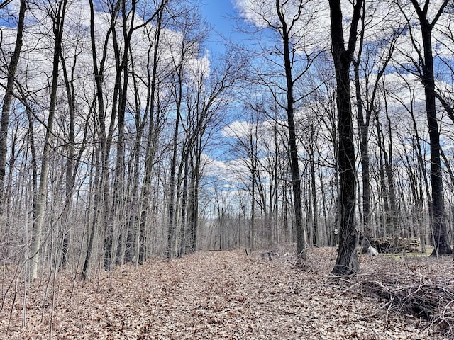 view of mother earth's splendor