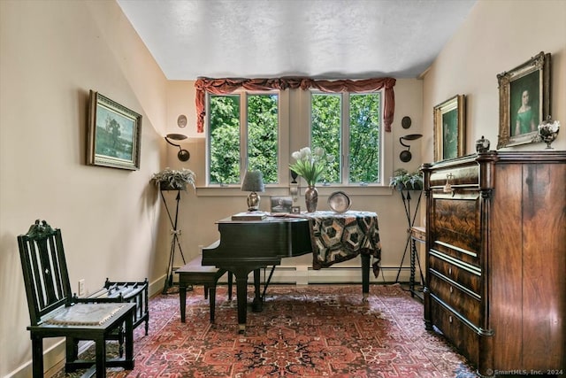 miscellaneous room featuring a baseboard heating unit and a wealth of natural light