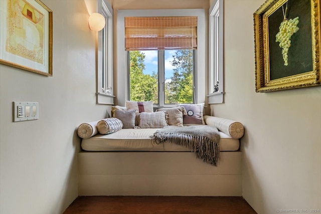 bedroom featuring dark hardwood / wood-style flooring