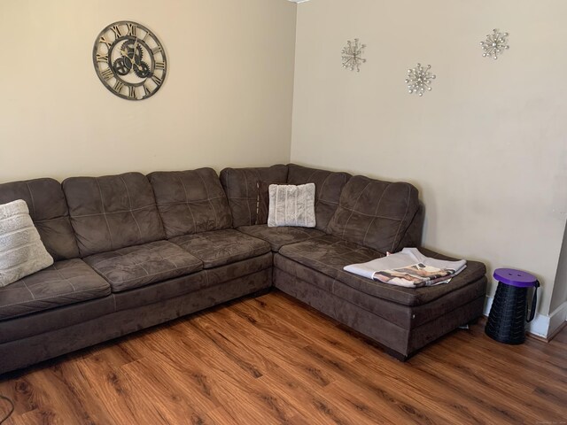 living room featuring hardwood / wood-style floors