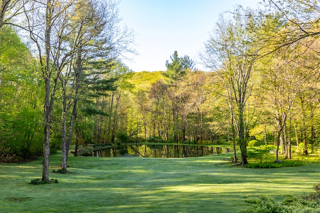 view of community featuring a yard