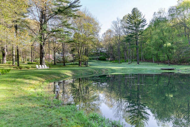 property view of water