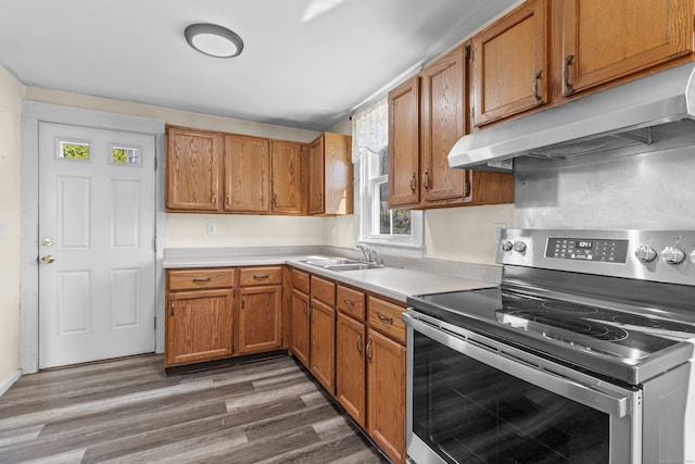 kitchen with dark wood-type flooring, electric range, and sink