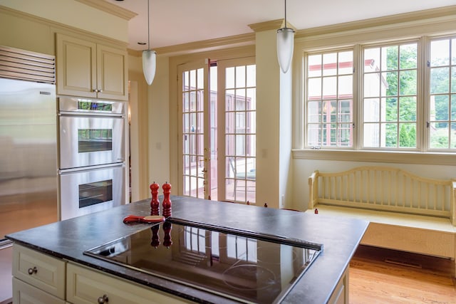 kitchen featuring a healthy amount of sunlight, light hardwood / wood-style floors, decorative light fixtures, and appliances with stainless steel finishes