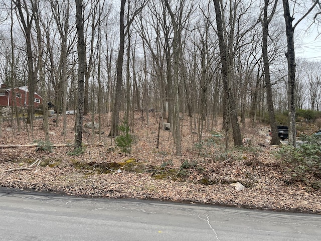 Chesnut Hill Rd, Wolcott CT, 06716 land for sale