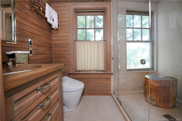 bathroom with vanity, a wealth of natural light, toilet, and walk in shower