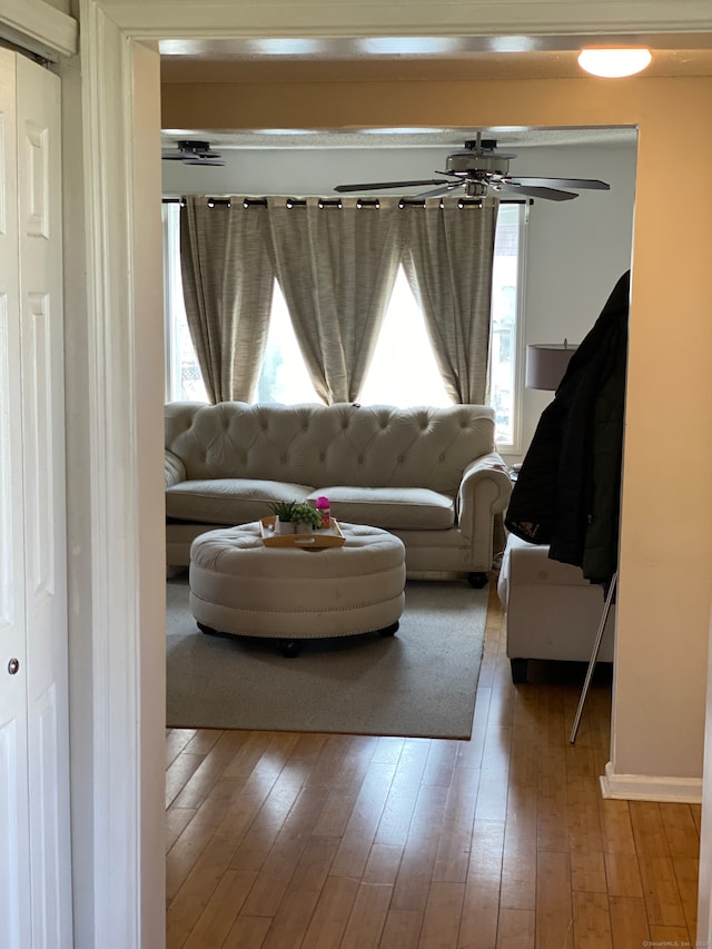 living room with ceiling fan and light hardwood / wood-style flooring