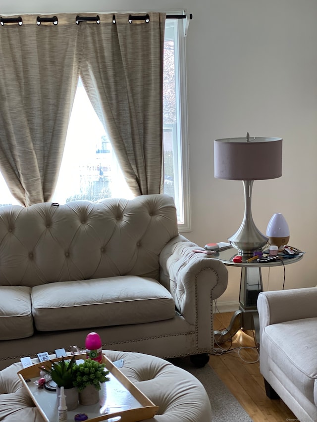 living room featuring a wealth of natural light and light hardwood / wood-style floors