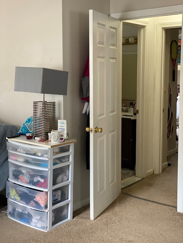 interior space featuring light carpet and a closet