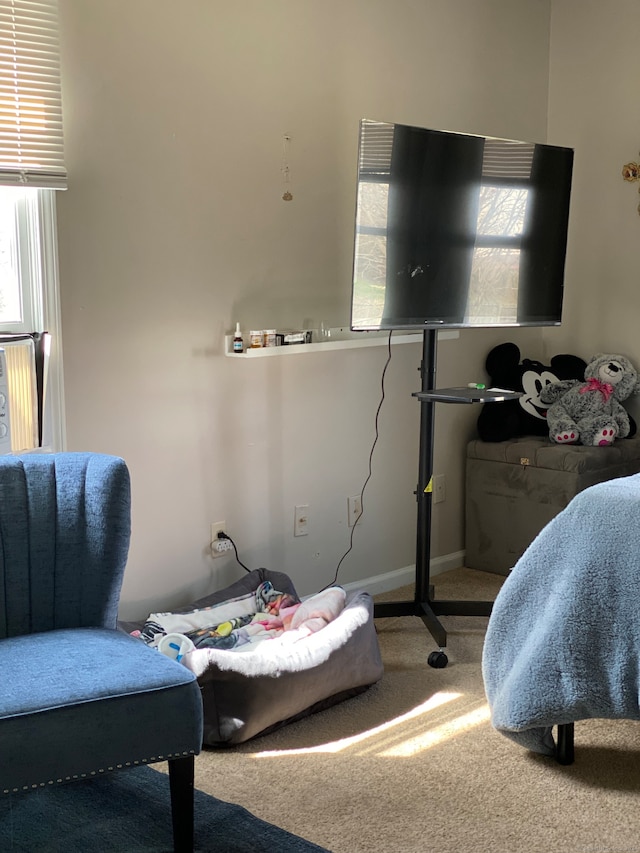 bedroom featuring carpet flooring