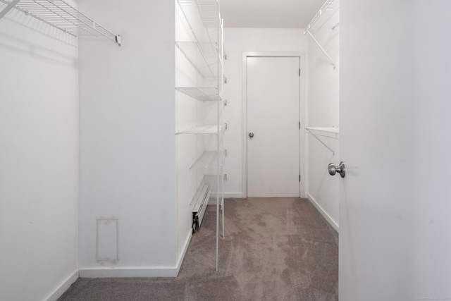 walk in closet with carpet