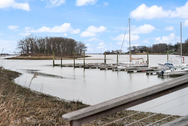 dock area with a water view