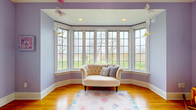 living area with light hardwood / wood-style floors and plenty of natural light