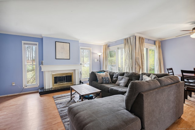 living room featuring crown molding, light hardwood / wood-style flooring, and ceiling fan