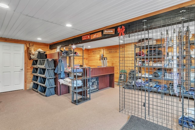 miscellaneous room featuring wood walls and carpet flooring