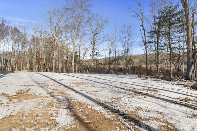 view of snowy yard