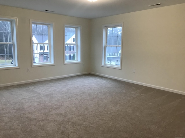 carpeted spare room with a wealth of natural light