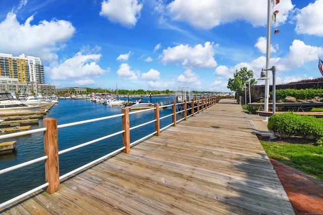 dock area with a water view