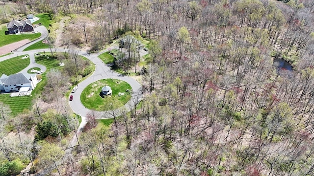 75 Gleneagle Rd, Middlebury, CT 06762 - photo 22